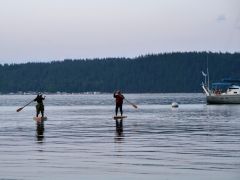 Camano Island Paddleshell