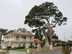 Monterey