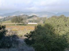 Weingut
