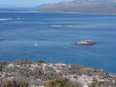 Isla San Francisco