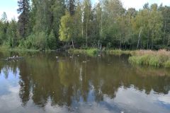 Chester Creek