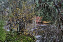 Port Hardy