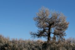 Fort Churchill Campground
