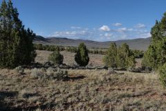 Old Spanish Trail